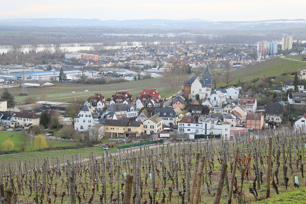 Vista desde Schloss Johannisberg en Alemania.