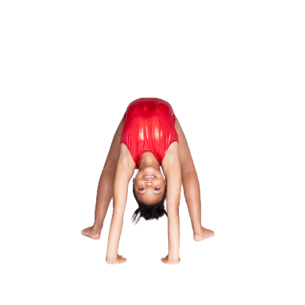 Backbend Clinic