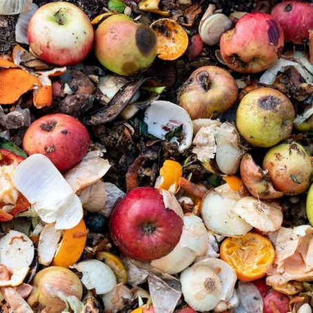 Small Actions, Big Impact: The Power of Individual Students in Tackling Food Waste