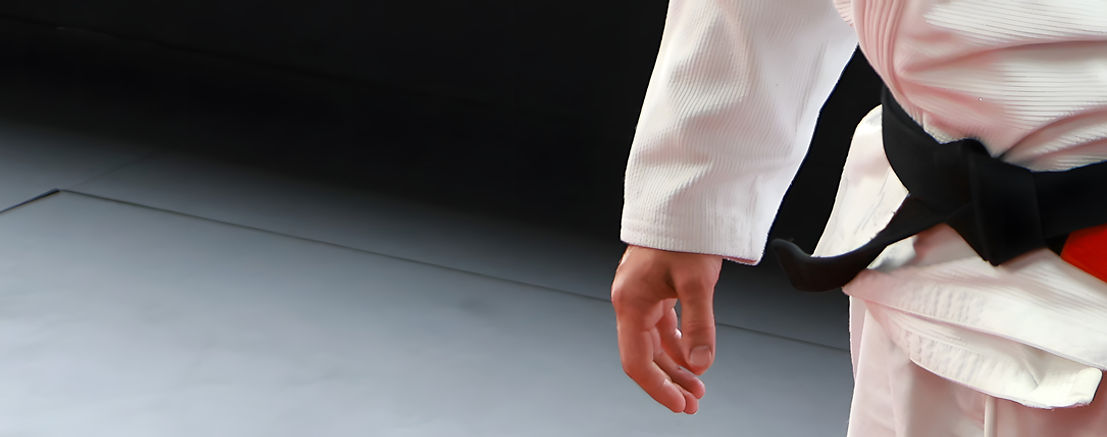BJJGiBelt.jpeg