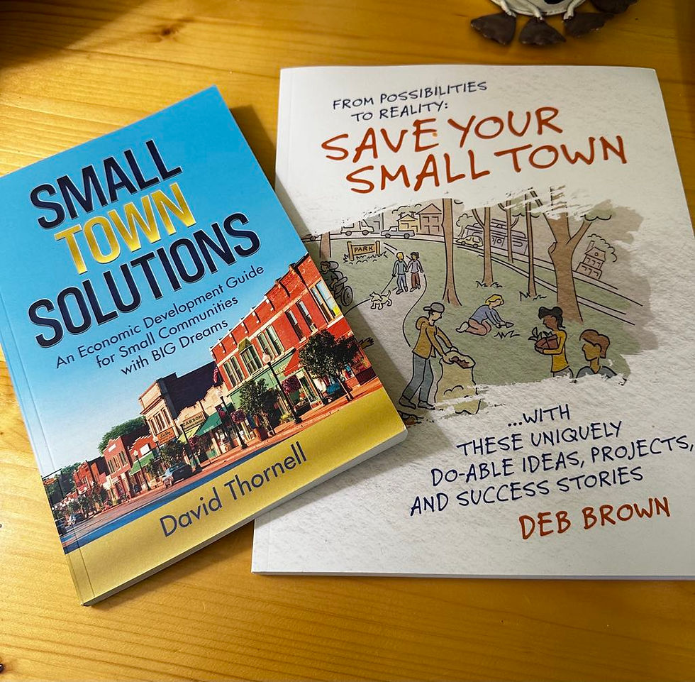 Image of Small Town Solutions by David Thornell & From Possibilities to Realities Save Your Small Town by Deb Brown