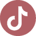 tiktok icon 2021.png