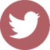 twitter icon 2021.png