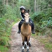 a371bd47-1d95-45df-bf60-5711c1ceb229_edi