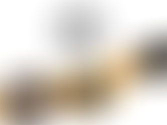 Silverstein(シルバースタイン) 製品希望小売価格改定のお知らせ