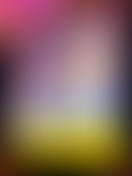 Awake Illinois Founder is Honored