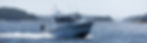 Sargo 25 hjemmeside-1.jpg