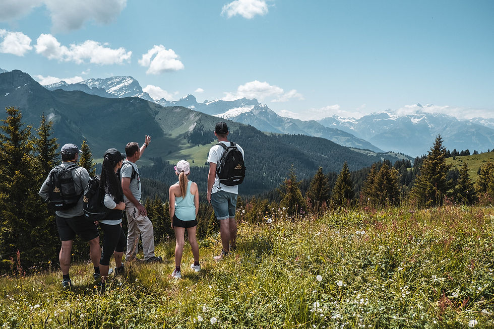 Villars hiking beautyful surroundings.jpg