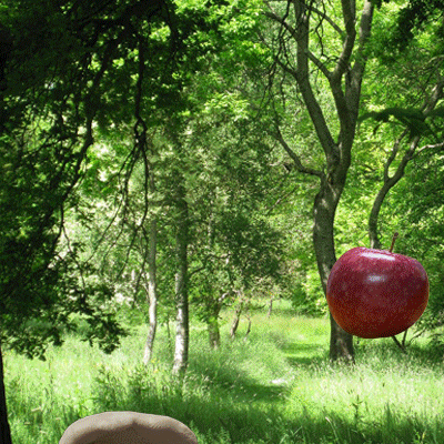 Plant Gif