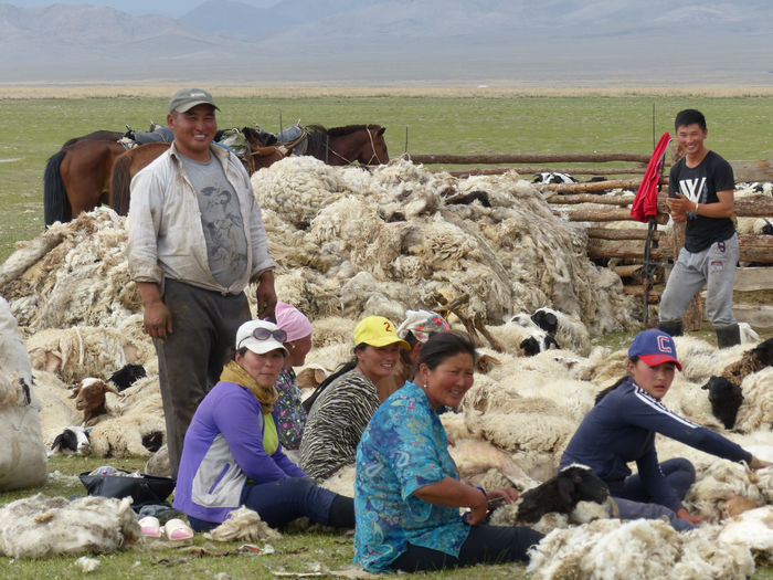 Étape 050 : Erdenet (Mongolie) - Bulgan - Oulan Bator (Mongolie)