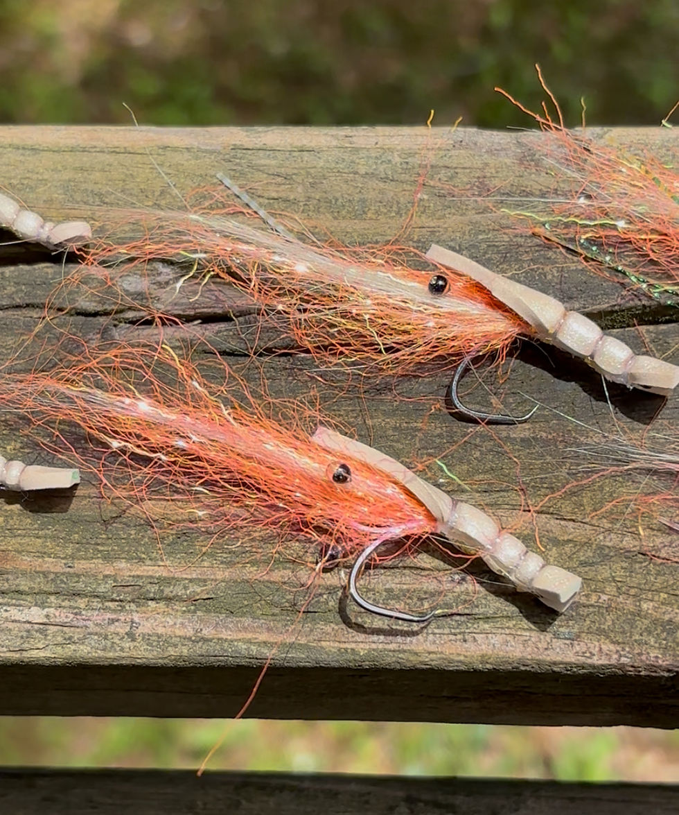 Thumbnail: FLOATING SHRIMP 