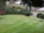 planting_104035_1