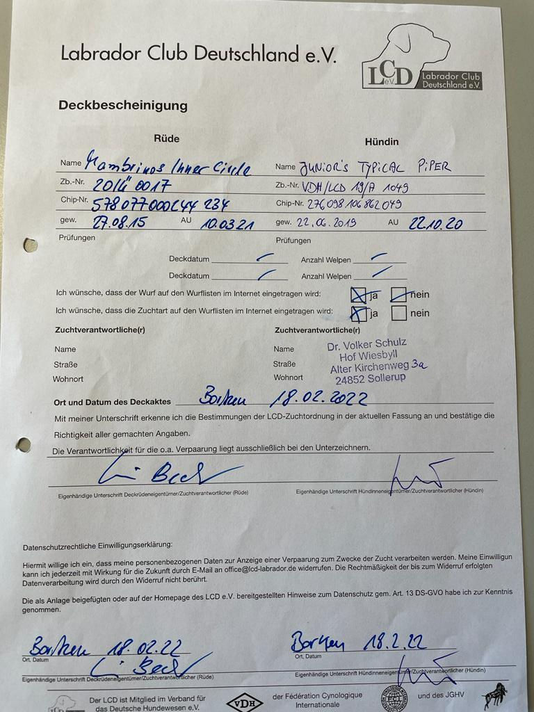 Deckbescheinigung.jpeg