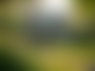 Understanding Home and Auto Insurance Basics