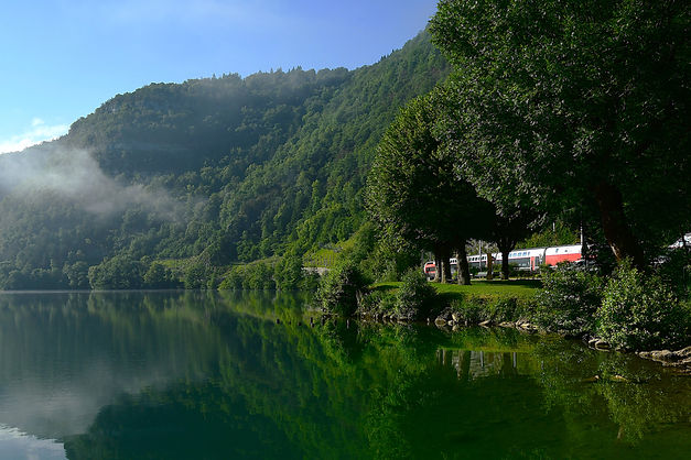 DSC_4960.JPG