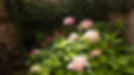 Loubeaic Home-43.jpg