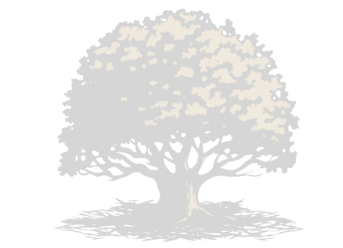 Untitled design (3).png