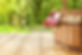 red napkin picnic basket and table place .jpg