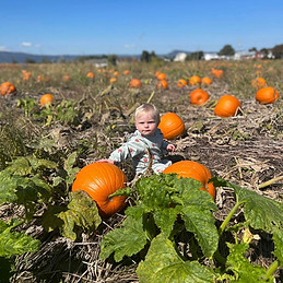 Pumpkin Patch in Luray