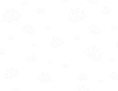 Untitled (11 x 8.5 in).png
