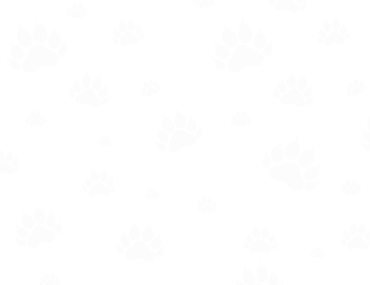 Untitled (11 x 8.5 in).png