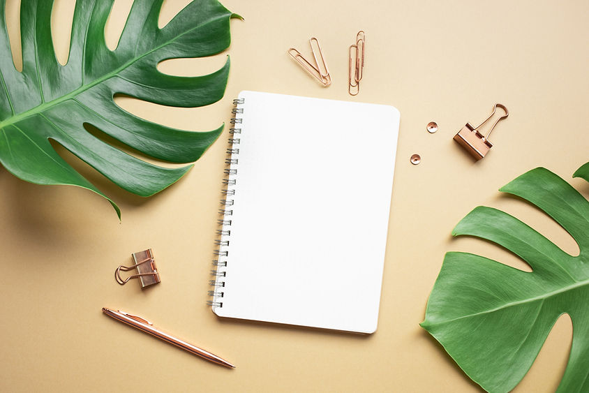 Flat lay mock up of monstera leaves with elegant business accessories on color space backg