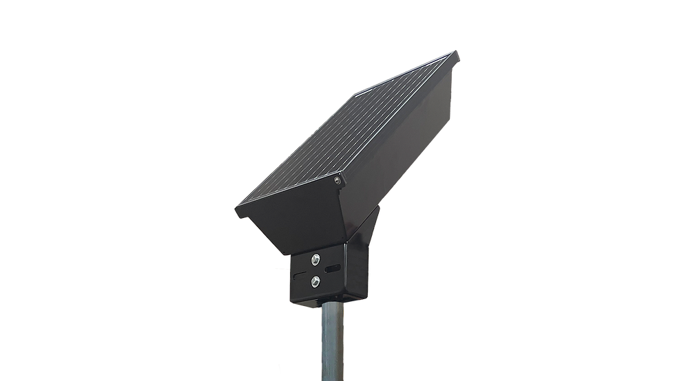 Export_Lorenza_Flashing Crosswalk - 020823.png