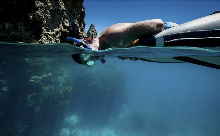 Snorkling LX.png