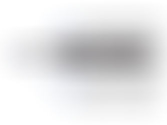 STABILUS  BLOC-O-LIFT