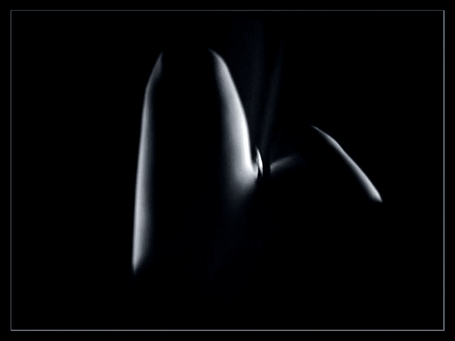 ⭕️  Catharsis - Short Experimental Film