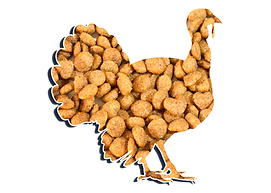 turkey.png