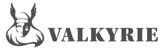 valkyrie_edited_edited.png
