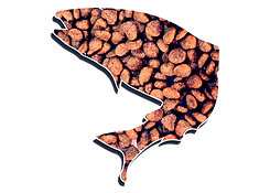 fish.png