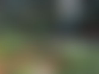 The Best Private camp in Nairobi