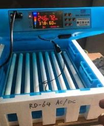  jumia 64-Eggs Automatic Egg Incubator