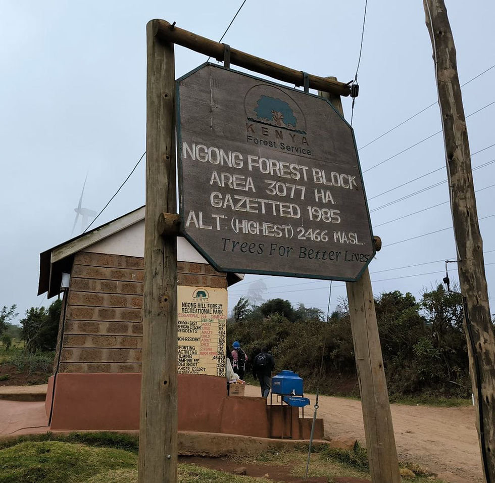 Ngong forest block entrance