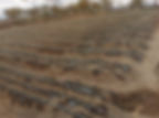 Rows of drip irrigation pipes on a farm field with dry soil. Sparse trees and cloudy sky in the background. Serene and organized setting.