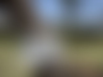 List of Wildlife Sanctuaries in Kenya (2025) – Animal Orphanages & Rescue Centers