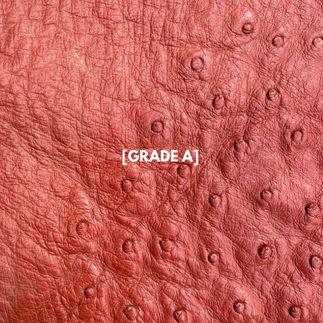 Ostrich grade A leather