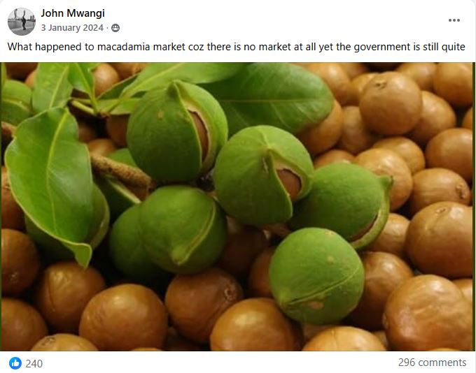 Green and brown macadamia nuts with leaves. Text overlay questions the market situation. Mood suggests concern and uncertainty.