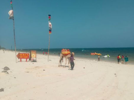 FAQ About Pirate Beach Mombasa