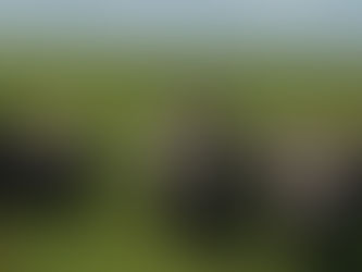 Ol Pejeta Conservancy: Complete 2025 Guide (Booking • Hotels • Animals • Why Visit)