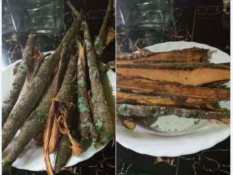 Sticks of Prunus Africana on plates, some with bark peeled, on a dark marbled table. Text: Prunus Africana benefits questioned.