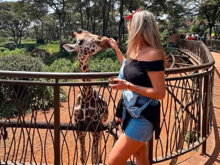 image of a lady tourist at Giraffe center in kenya