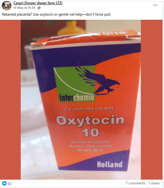 Orange and blue Oxytocin 10 box for veterinary use, labeled "interchemie." Background shows a blurred indoor setting.