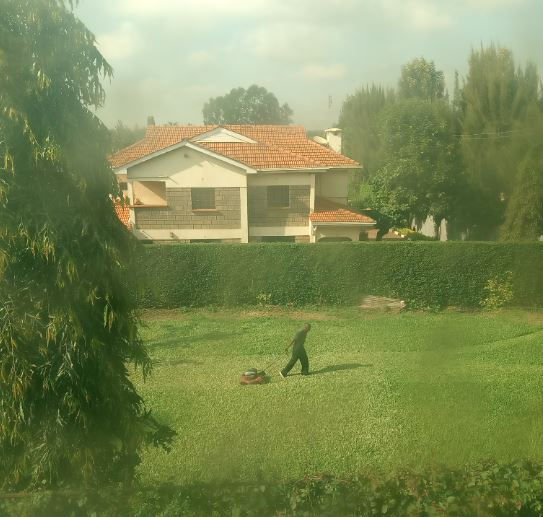 Person mowing lawn in a sunny garden with a red-roofed house and hedge in the background. Tall trees surround the scene.