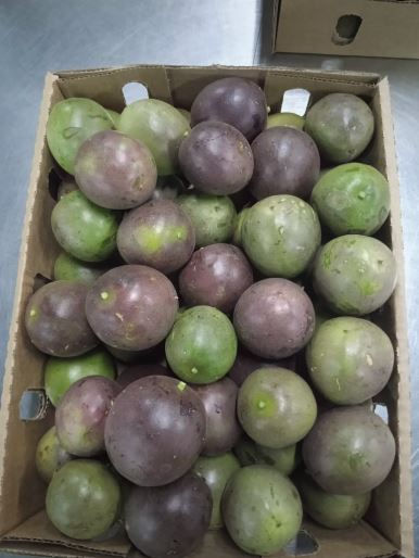 Box of green and purple passion fruits on a metal surface, showcasing varied ripeness and a natural, organic texture.