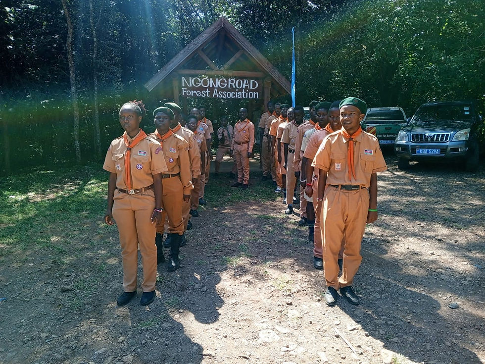 Kibera scouts at Ngong forest