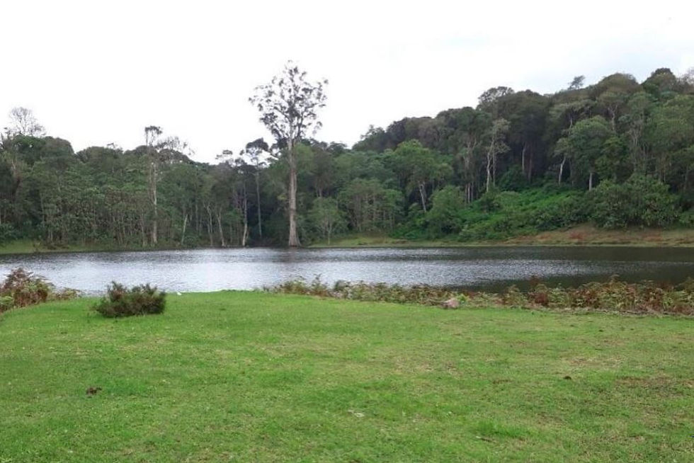 Image of a lake at Ragati forest