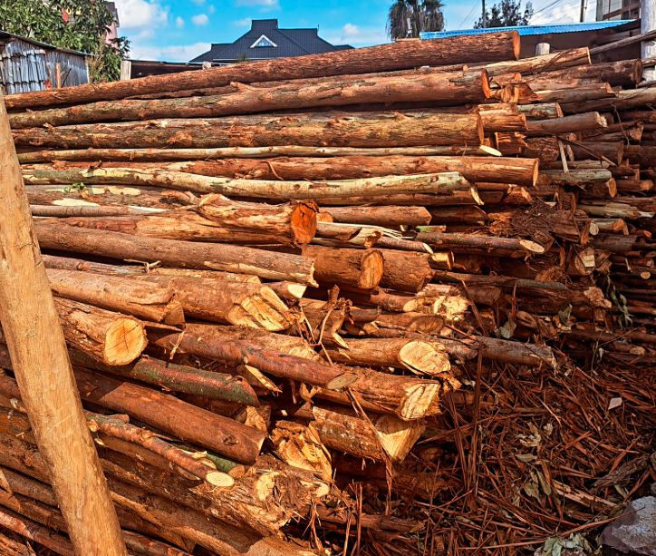 Stacked bluegum poles in a rustic yard under a blue sky. The wood is brown with visible cuts. In the background, a house and trees.